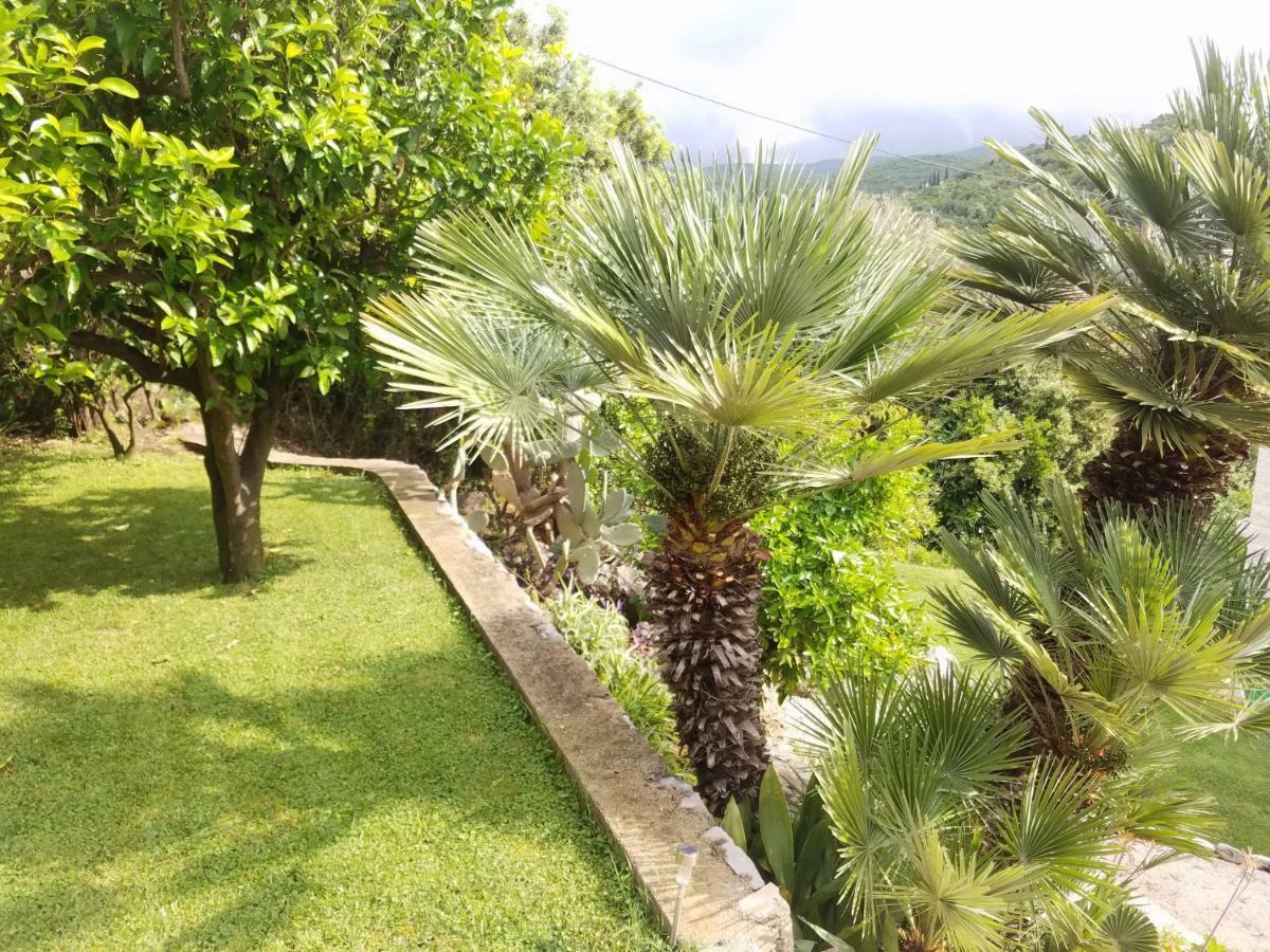 Marivo Guest House Molunat Bagian luar foto